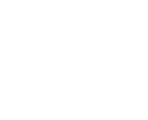 icon-robot-w