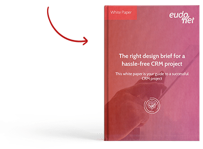 White paper design brief CRM