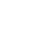 icon-expertises-white
